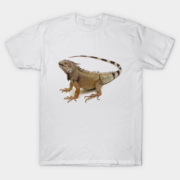 lizard T-Shirt by ElArrogante